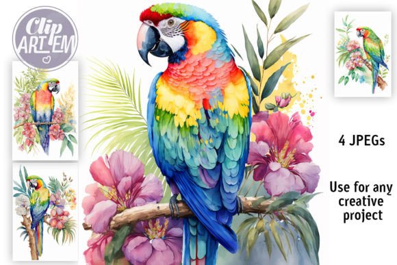 Download Tropical Parrot 4 JPEG Bundle Wall Art - Premium Resources